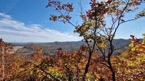 Picturesque view of the hills from the slope.
Autumn leafs falling with soft swaying motion against blue sky and orange leafs tree branch during fall season nature scene bright daylight.
