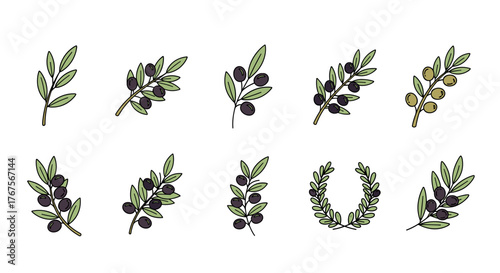 Collection of stylized olive branches and a laurel wreath, featuring both ripe black olives and unripe green olives, rendered in a clean, illustrative style with subtle color variations and outlines
