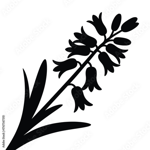 Black silhouette of a flowering bluebell plant on a white background