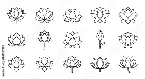 A vibrant and detailed close-up of a lush green fern frond unfurling, showcasing intricate leaf patterns and delicate textures against a soft, blurred background, evoking a sense of natural growth