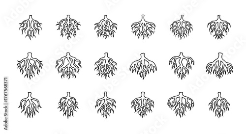 A detailed botanical illustration showcasing the intricate root systems of various plant species, presented in a grid format for comparative study and educational purposes, highlighting the