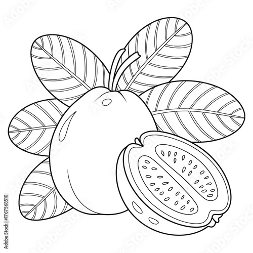 Line drawing of a whole guava fruit with a halved fruit and leaves