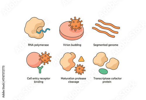 isometric icon items isolated on white background viral infection RNA polymerase active site viral infection virion budding site viral infection segmented genome fragment viral infection