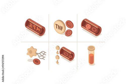 isometric icon items isolated on white background bloodstream infection lipopolysaccharide induced inflammation bloodstream infection tumor necrosis factor marker bloodstream infection