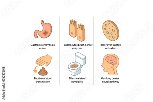isometric icon items isolated on white background gastrointestinal infection gastric mucosal erosion site gastrointestinal infection enterocyte brush border enzyme gastrointestinal