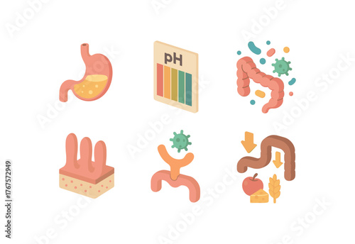 isometric icon items isolated on white background gastrointestinal infection stomach acid pH gradient gastrointestinal infection gut microbiota dysbiosis index gastrointestinal infection