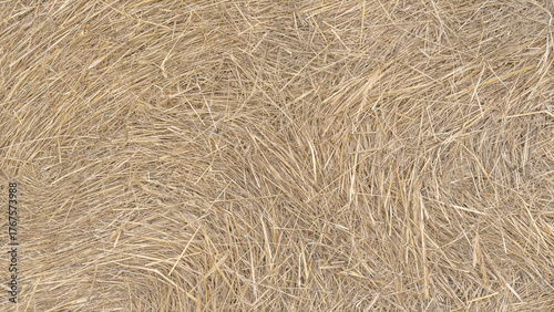 Close-up view of dry hay texture showing natural straw pattern and details. Organic yellow-brown surface perfect for agricultural, rural, or eco-themed backgrounds and designs.