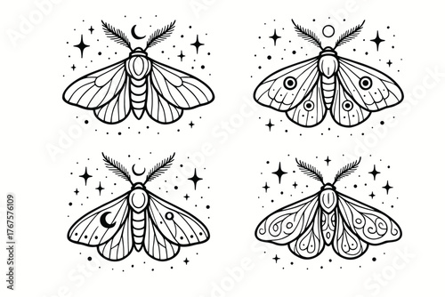 4 outline moths with detailed wings and cosmic background flat vector illustration style isolated on white background