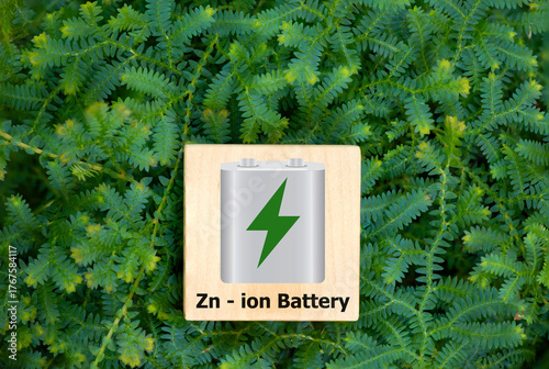 Zn-ion Battery text on wooden and icons on peacock fern background.