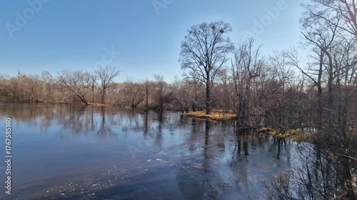 River movement and autumn trees against the blue sky, reflection of trees in the water 