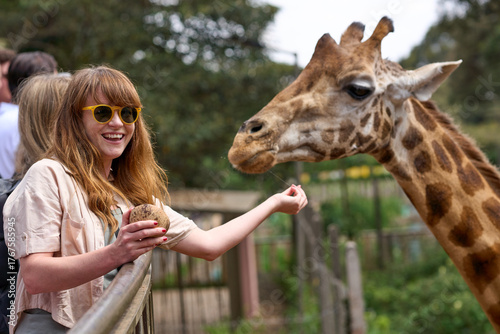 Nairobi, Kenya - October 18th 2025 - Safari Woman feeding a Giraffe at Giraffe Center