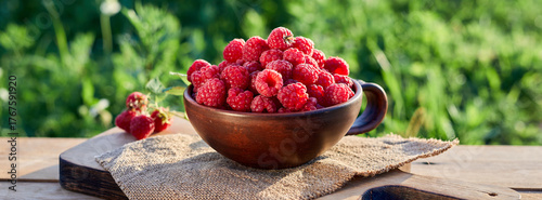 Fresh raspberry in ceramic bowl on orchard background. Harvest of ripe raspberries in summer garden. Ripe raspberries on wooden table.