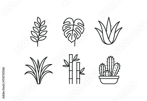 simple outline stroke icon isolated on white background ZZ plant monstera deliciosa aloe vera plant bamboo stalks small cactus arrangement