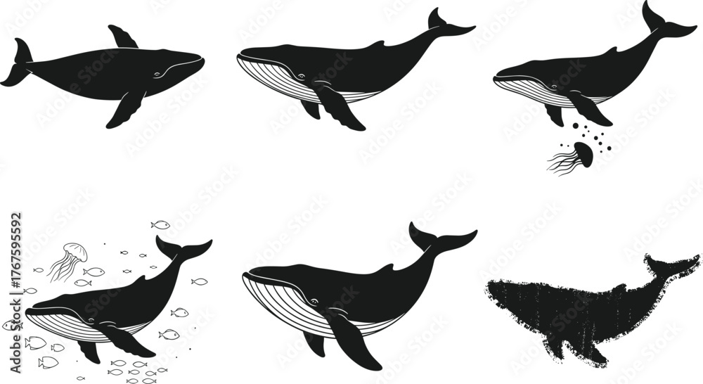 Fototapeta premium Whale silhouette vector illustration, underwater marine life, ocean swimming poses, black and white graphic art, aquatic nature concept, sea animal design