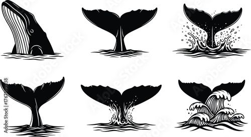 Whale and Tail Silhouette Vector Set, Black and White Ocean Illustrations, Marine Life Splash Scenes, Aquatic Motion, Sea Wildlife Icons