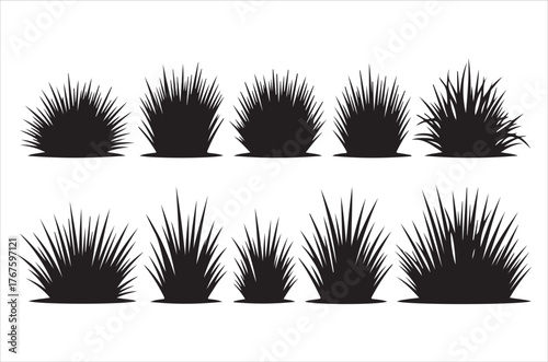 Silhouettes of various ornamental grasses and foliage arrangements shown clearly