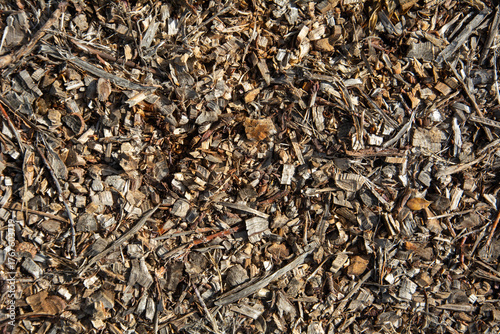 Dry bark and mulch background with mixed brown tones and natural texture
