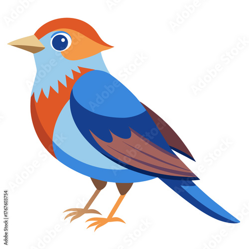 vector illustration of a bird