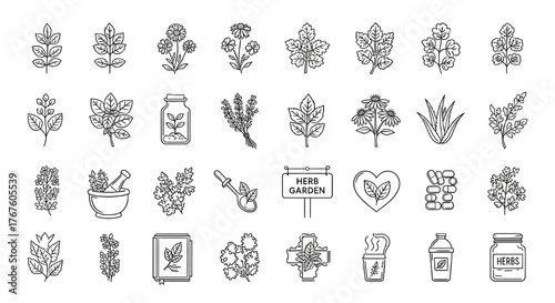 Big Set of Natural Herbs and Botanical Ingredients Line Icons. Minimalist Vector Illustration Collection for Health and Wellness.