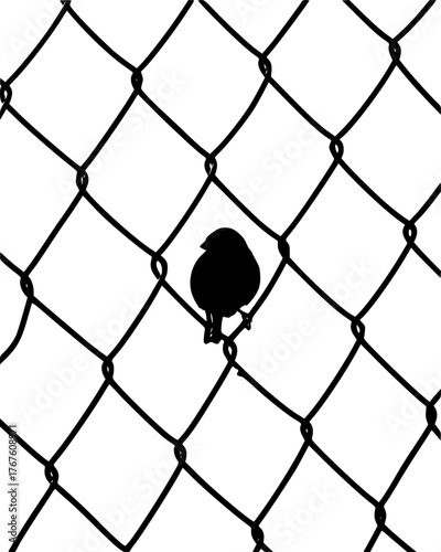 fence and bird vector