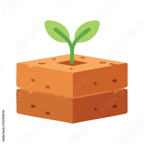 A young seedling with green leaves emerging from a soil cube.