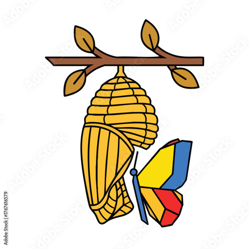 A butterfly emerges from its chrysalis on a branch.