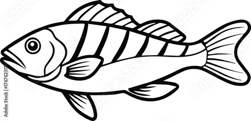 rockfish outline vector for marine and fishing design
