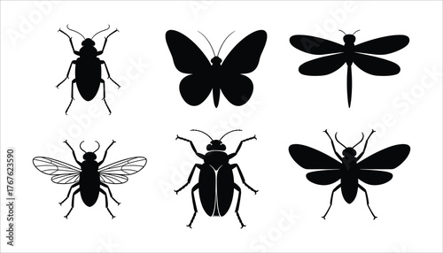 Six black insect silhouettes including butterfly beetle dragonfly fly white
