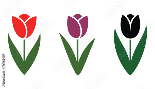 Three stylized tulips red purple black with green leaves on white flower