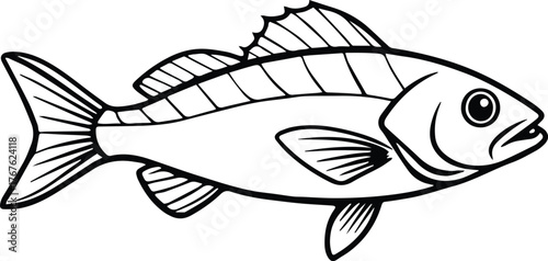 sea bass fish outline vector for fishing and marine design