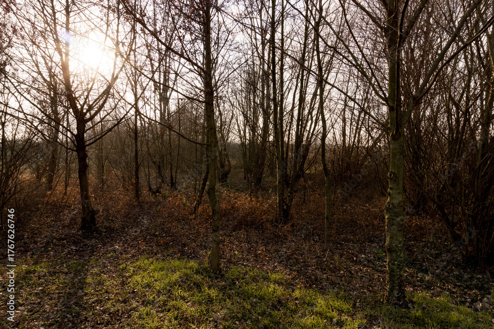 Obraz premium countryside walk path