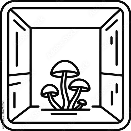 Small mushrooms growing inside a cubic structure with open sides fungi growth