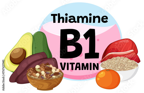 Vitamin B1 (Thiamine) Rich Foods Illustration