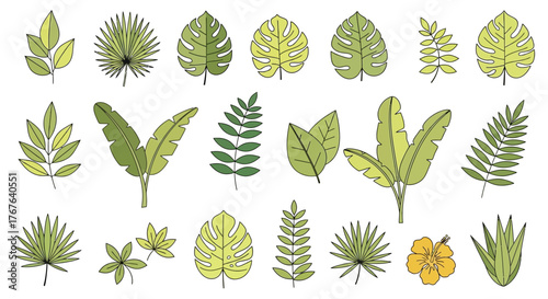 Assortment of hand-drawn tropical foliage and a vibrant hibiscus flower on a white background