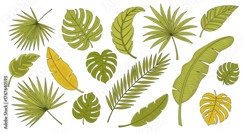 Botanical illustration displaying diverse tropical foliage creating an inviting exotic ambiance