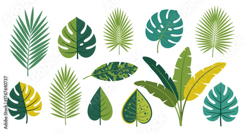 Exotic botanical vector assortment presenting lush tropical foliage on clean white canvas for