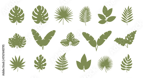 Elegant assortment of diverse tropical foliage, stylized silhouettes showcasing botanical