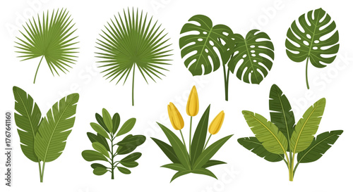 Exotic vector illustration of diverse tropical plants and foliage for vibrant designs