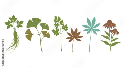 Botanical silhouettes presenting a diverse range of plant species and leaf arrangements for design