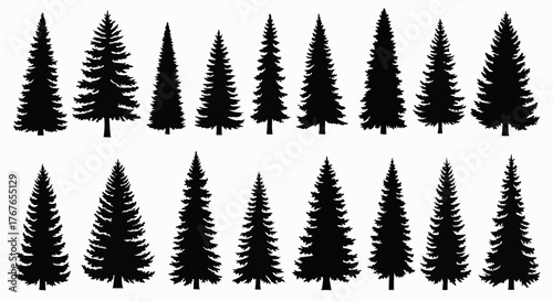 Silhouette collection of various evergreen fir trees arranged in two rows against a white background