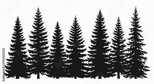 Silhouette of seven evergreen trees standing tall in a row against a white background landscape scene view