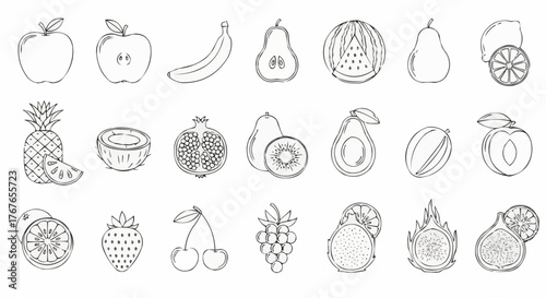 Outlined drawing of various fruits including apples banana watermelon and tropical fruits displayed in rows