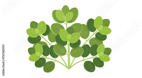 Stylized botanical illustration featuring symmetrical arrangement of vibrant green foliage against