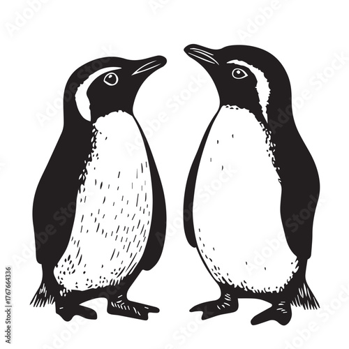 penguins on a white background