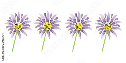 Beautiful Purple Flowers with Yellow Center on White Background

Elegant Violet Daisies Illustration with Green Stems

Purple Floral Design Isolated on White

Spring Blooming Purple Flowers Clipart

S