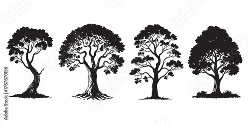 Diverse Black and White Tree Silhouettes