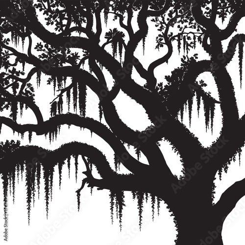 Majestic Live Oak Tree Silhouette with Draped Spanish Moss Graphic Design