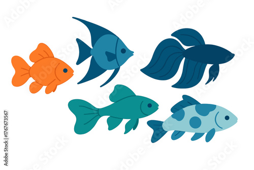 Colorful tropical fish swimming together in an aquarium or marine environment