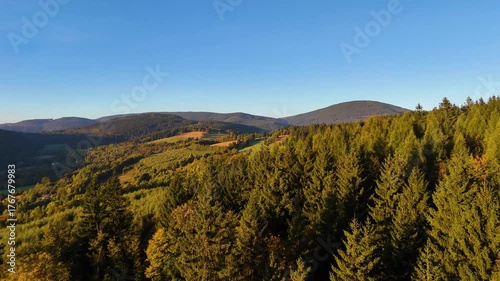 A drone flies over a pine forest in the mountains of Redwood National Park, California, USA. A picturesque autumn forested mountain range. Morning forest landscape, 4K video.