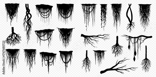Set of black silhouettes of hanging roots, vines, and tree branches for design elements.